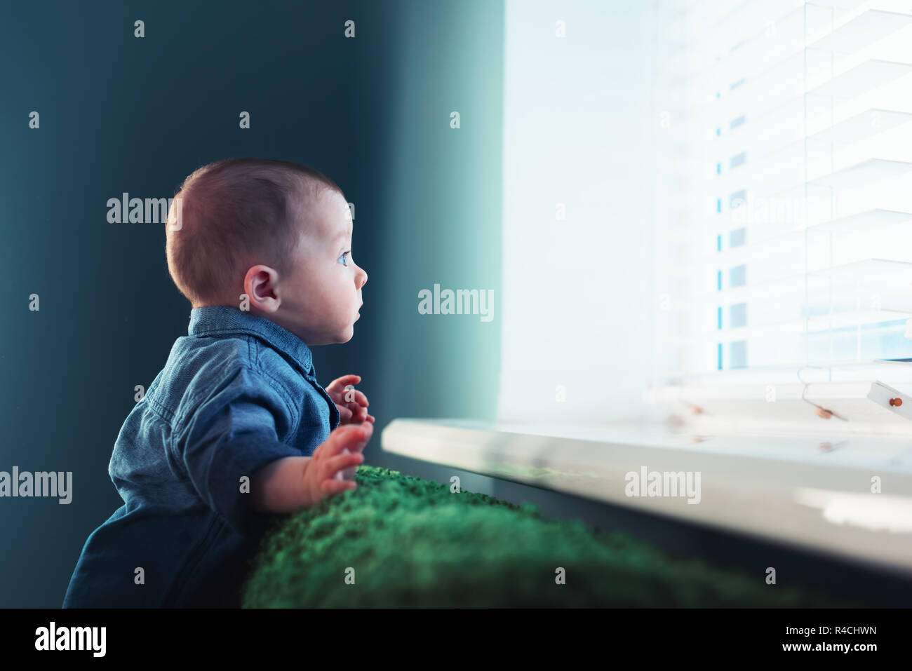 Newborn baby boy portrait on green carpet closeup. Motherhood and new life concept Stock Photo