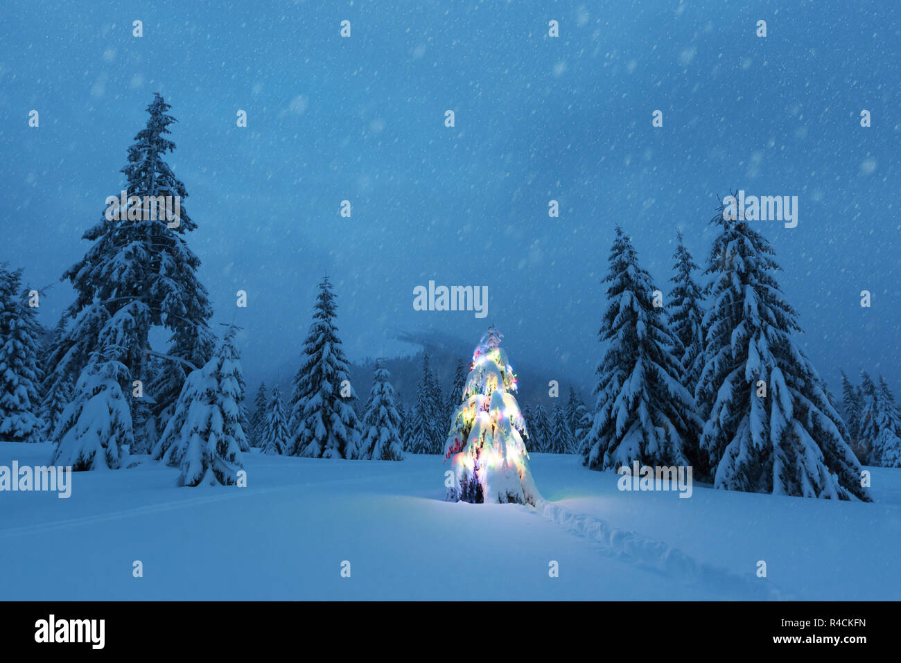 Holiday landscape with Christmas tree, snow and lights in winter mountains. New year celebration concept Stock Photo