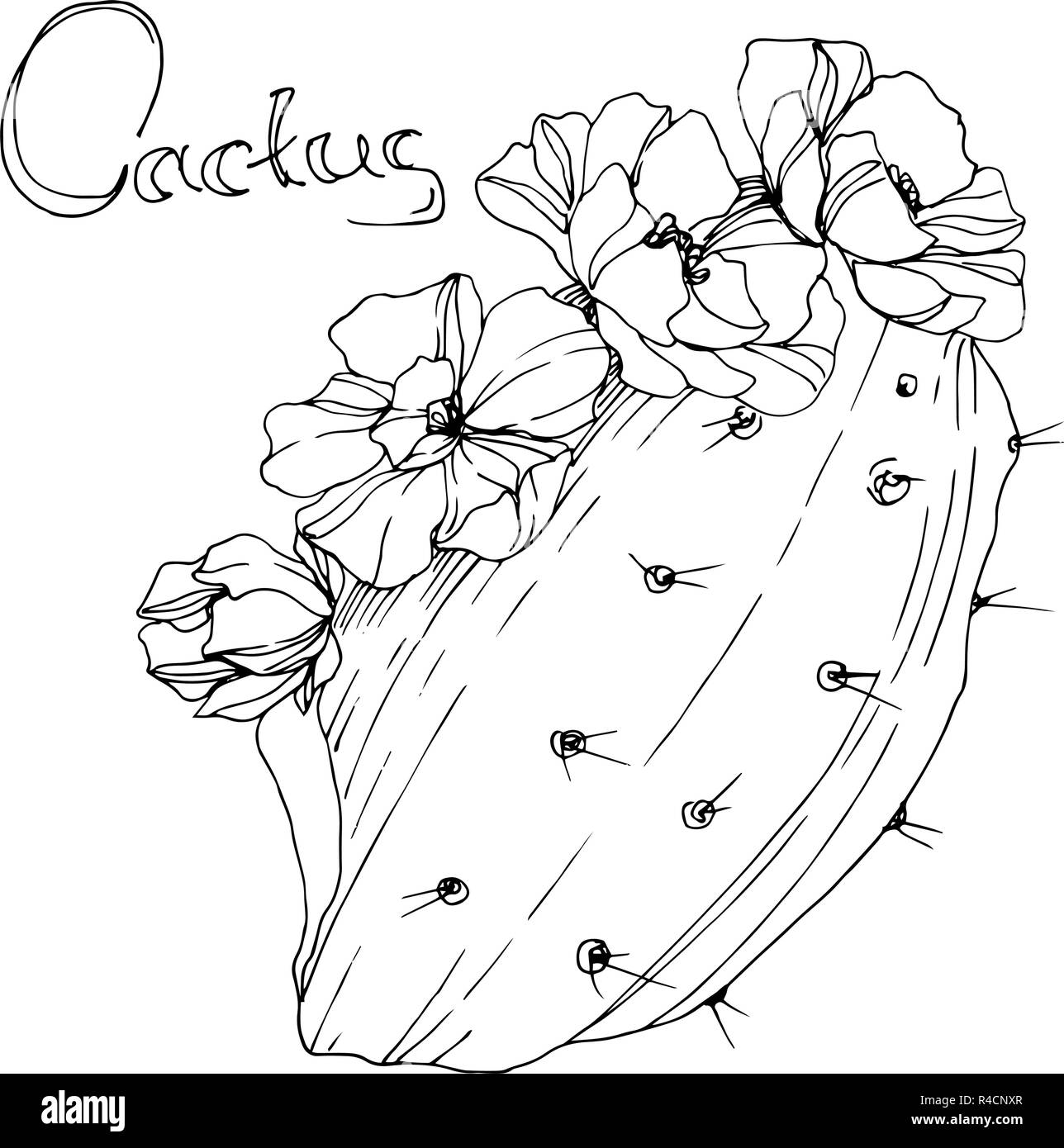 Chris Zack Tattoo  Cactus Flower Piece cactus cactustattoo flowers  flowertattoo baltimoretattooartist tattoo tattoodesert plur inspired  anastasiazack  Facebook