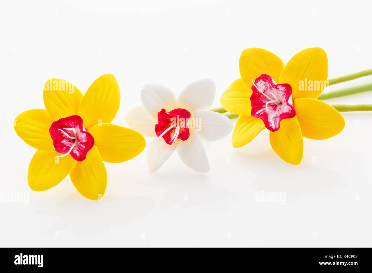 Beautiful narcissus flowers Stock Photo Alamy