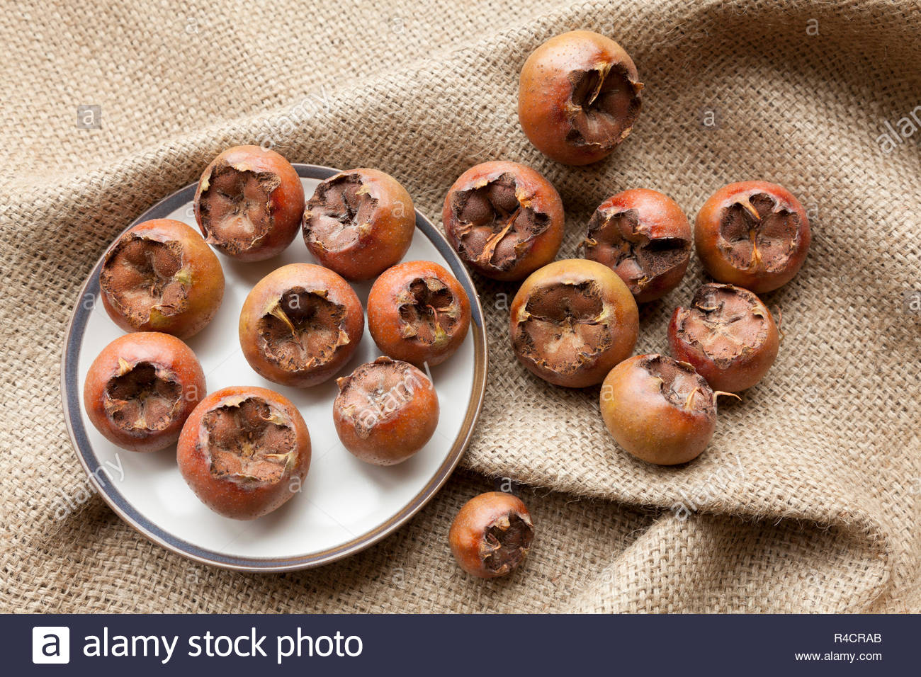 Medlar Fruit Stock Photos & Medlar Fruit Stock Images Alamy