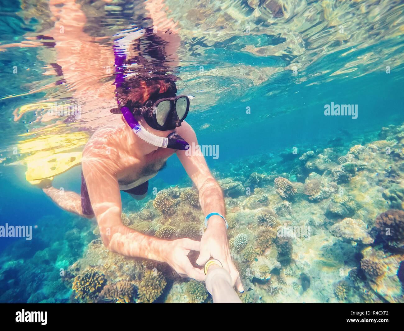 Snorkel swims in shallow water, Red Sea, Egypt Stock Photo