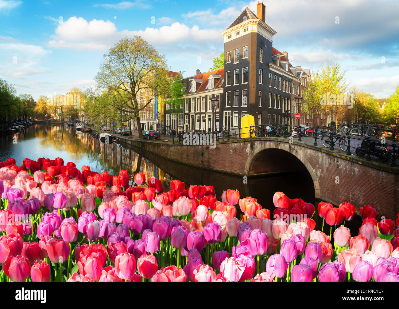 Dutch scenery with canal and mirror reflections with tulips