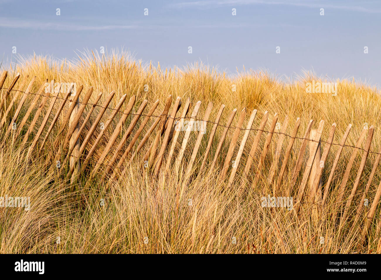Grass covered sand dune with fence at Llandudno on the North Wales coast Stock Photo