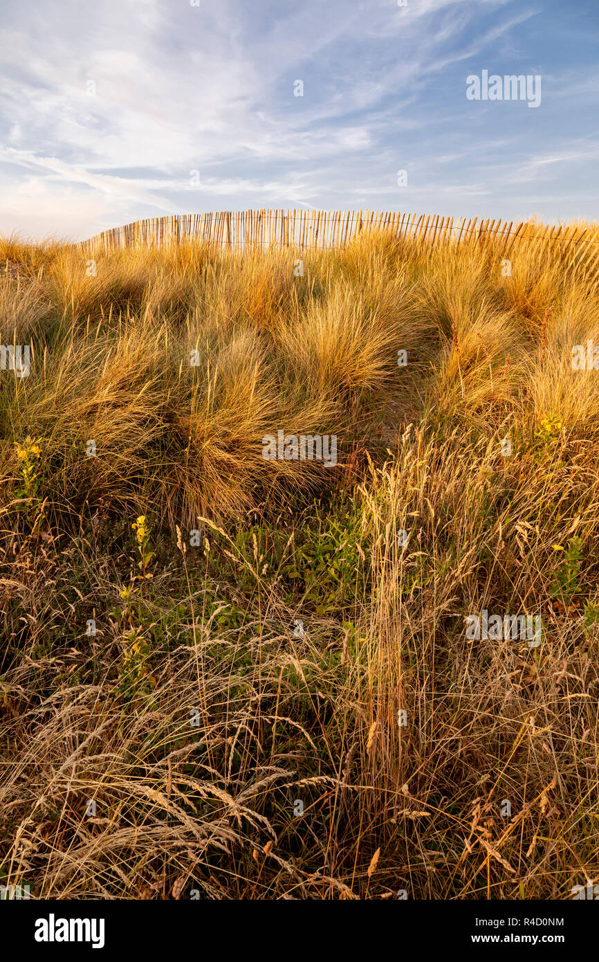 Grass covered sand dune with fence at Llandudno on the North Wales coast Stock Photo