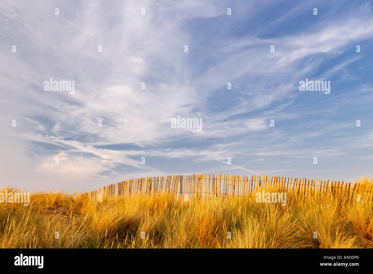Grass covered sand dune with fence at Llandudno on the North Wales coast Stock Photo