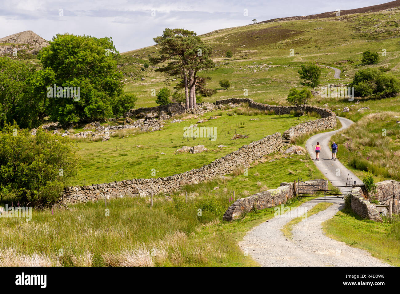 Couple hiking up a winding road at Llyn Cowlyd, Snowdonia, North Wales Stock Photo
