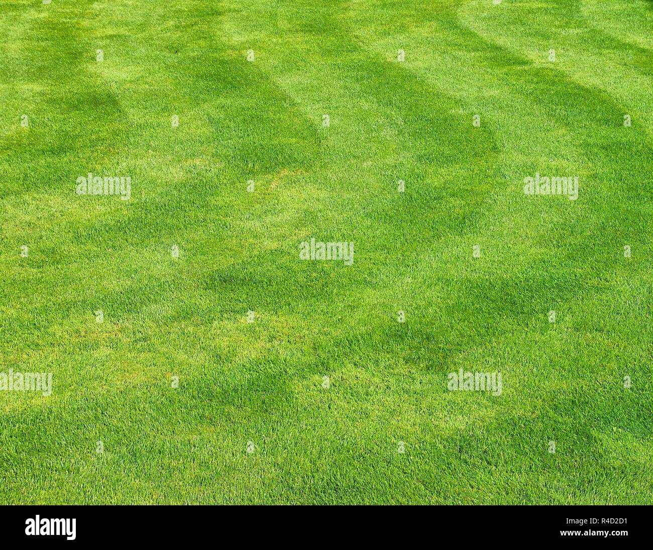 english lawn Stock Photo