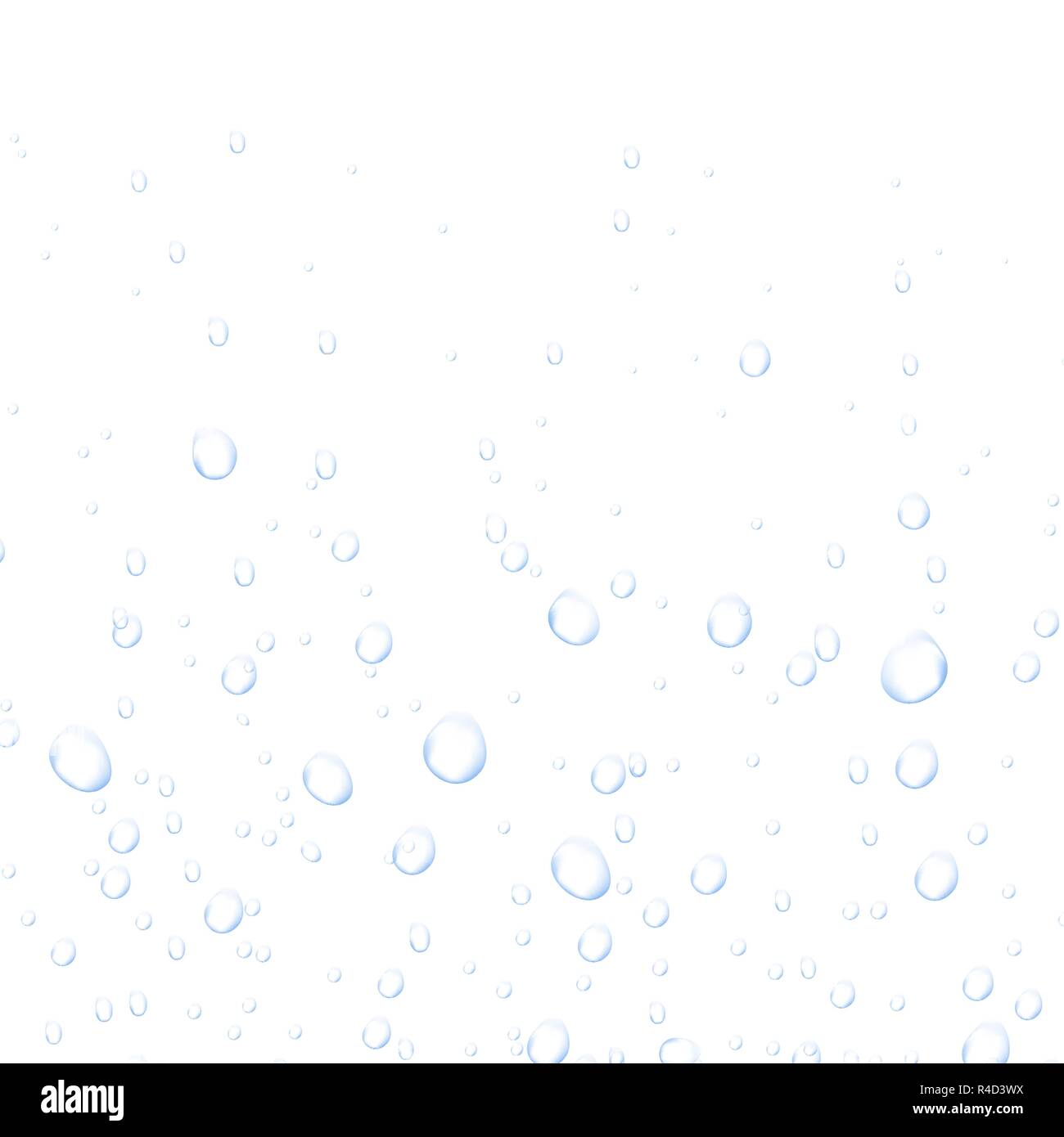 Water fizzing bubbles texture on white background. Foam effect. Vector