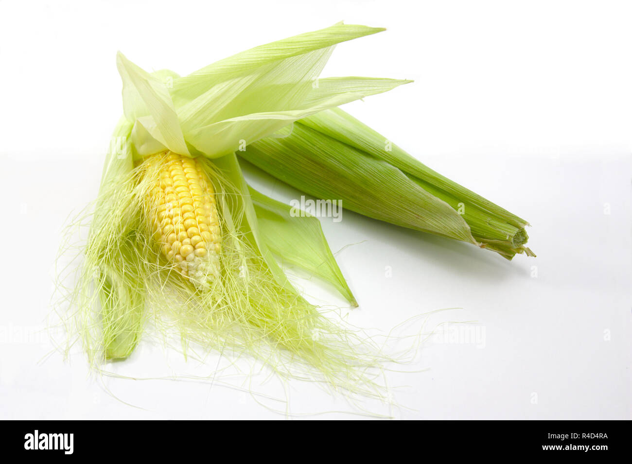 Corn cobs with light background and copyspace to add some text to the side Stock Photo
