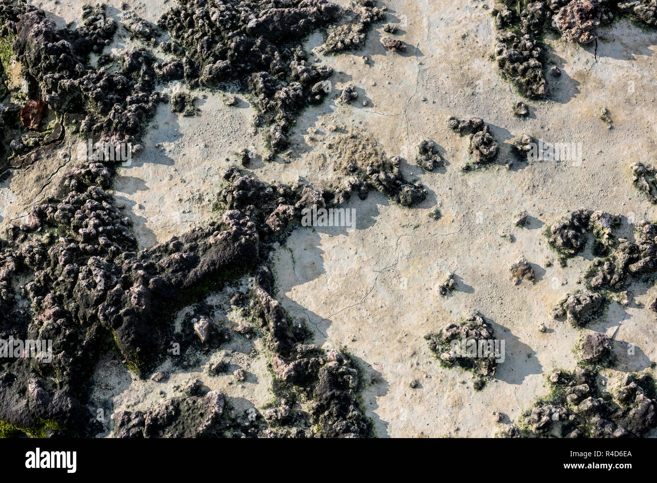 Above view from of ground texture or background whit green moss, from after mining activity. Stock Photo