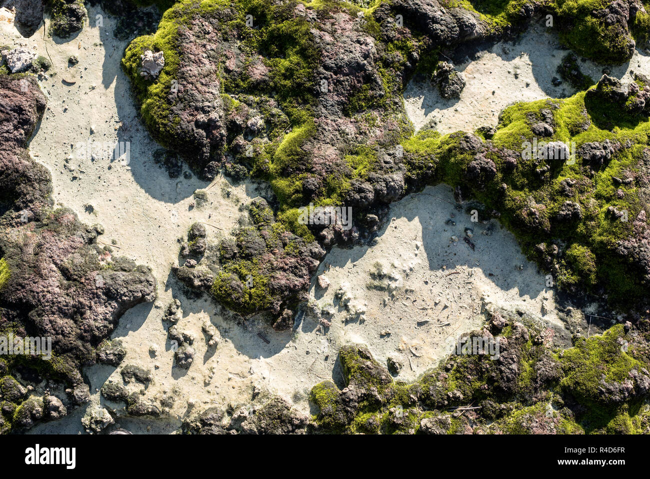 Above view from of ground texture or background whit green moss, from after mining activity. Stock Photo