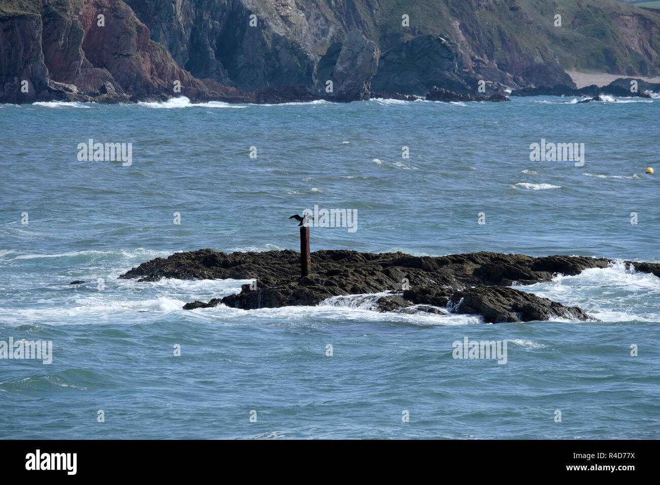 Cormorant perched on a post with wings outstretched. Stock Photo