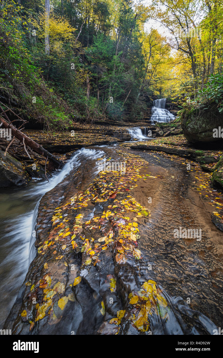 Laurel Creek, a tributary of West Virginia's Gauley River, cascades down layers of rock adorned with autumn leaves of yellow. Stock Photo