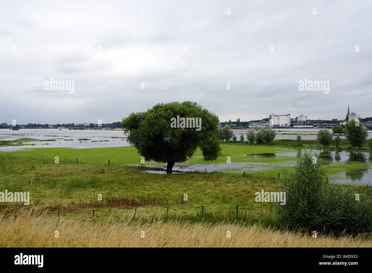 flooded meadows and pastures Stock Photo