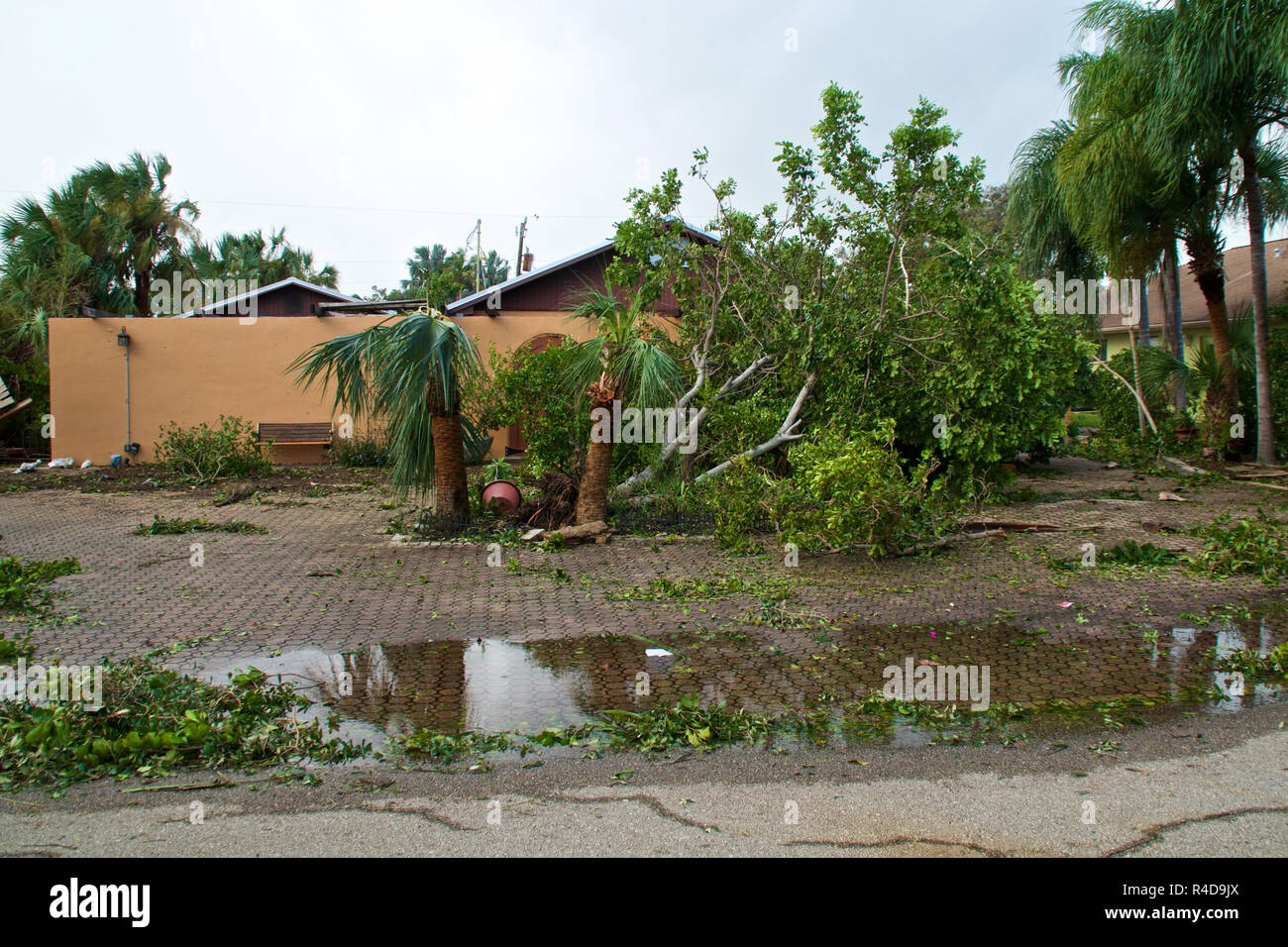 View of flooding, downed trees and property damage after hurricane irma