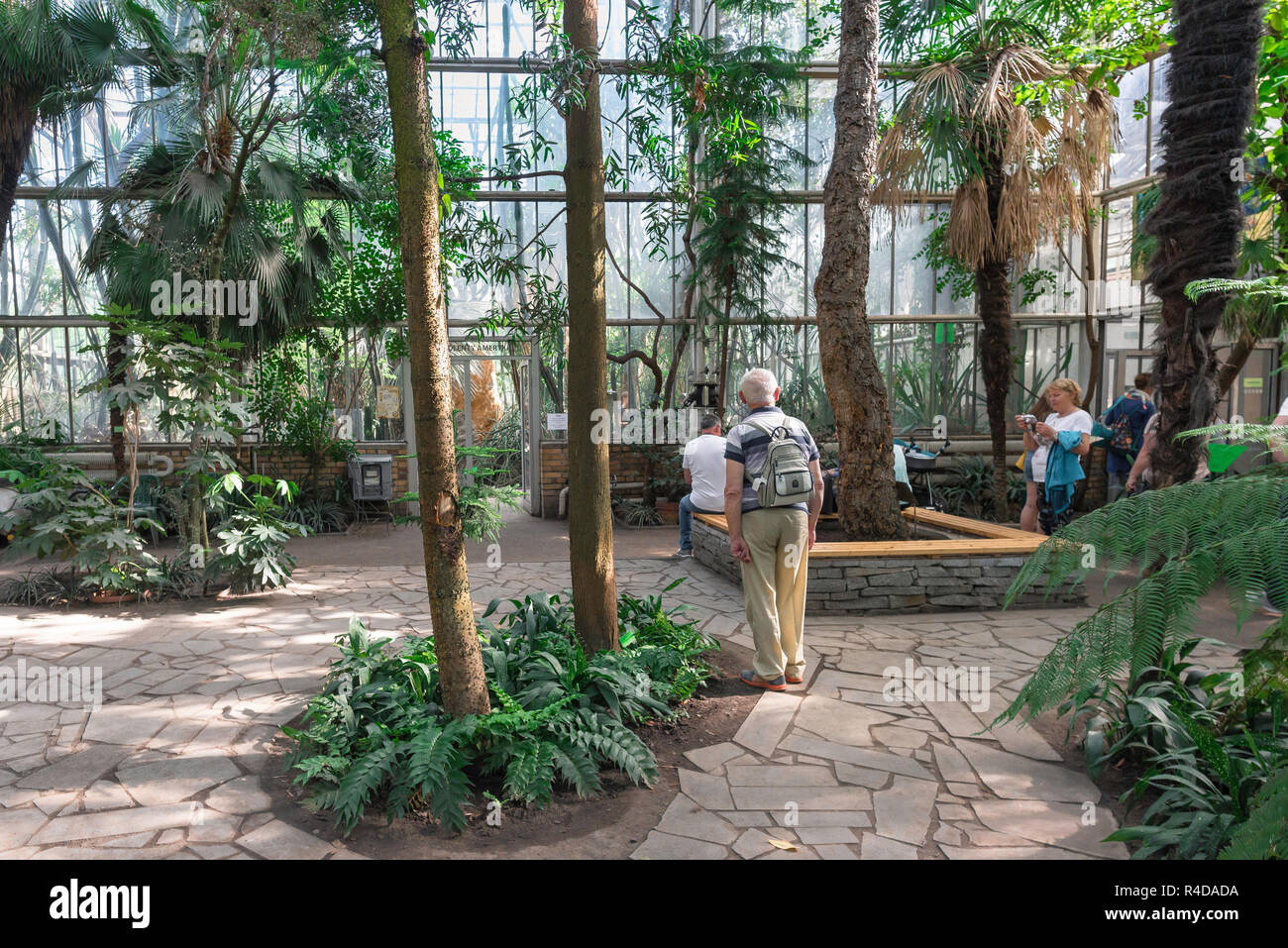 Poznan Palm House, view inside the Palm House in Poznan showing people surrounded by tropical trees and foliage, Poznan, Poland. Stock Photo