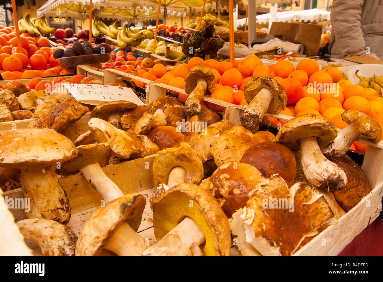 Porcini mushrooms for sale on Italian market stall Stock Photo Alamy