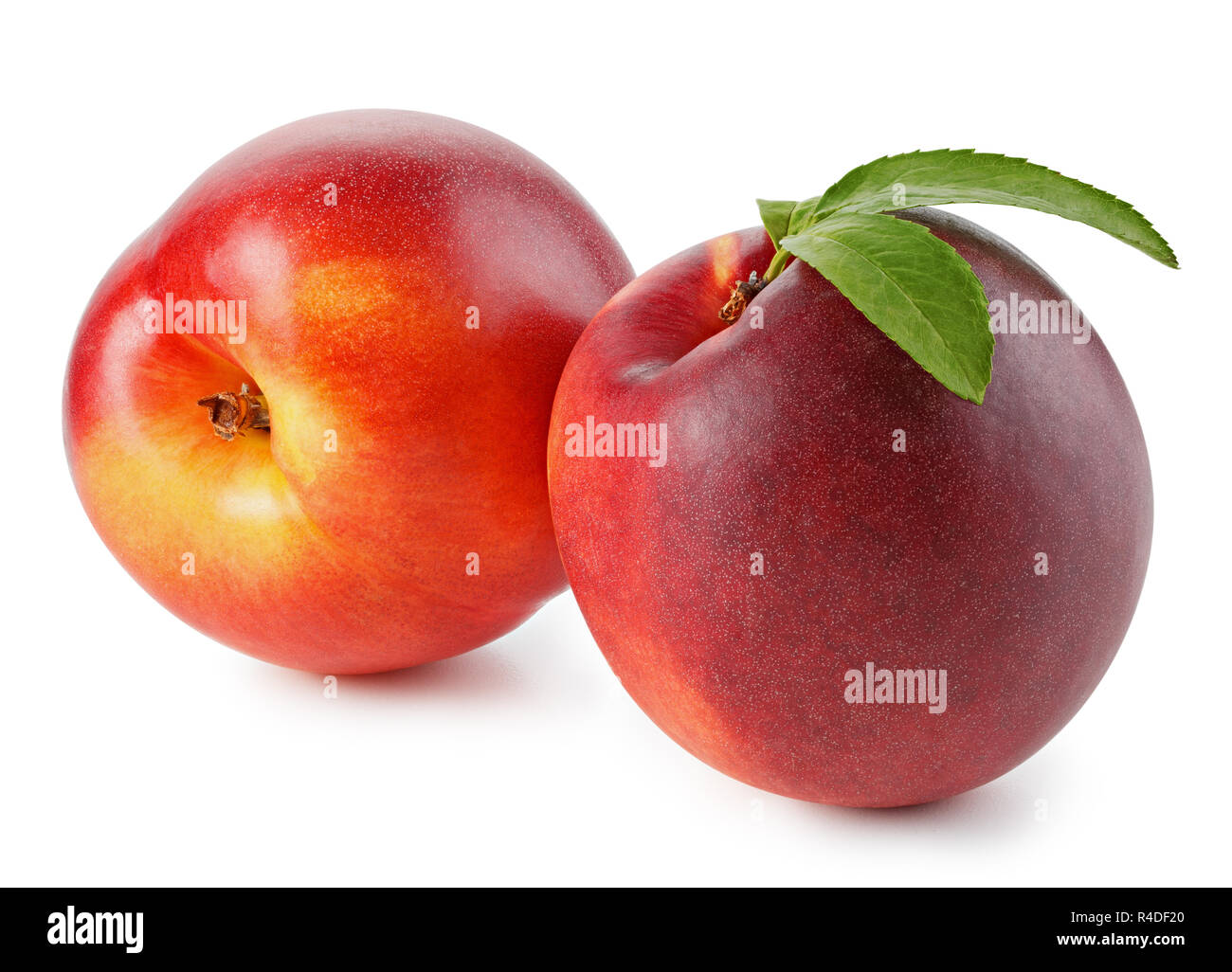 Peaches or nectarines with leaf on white background Stock Photo