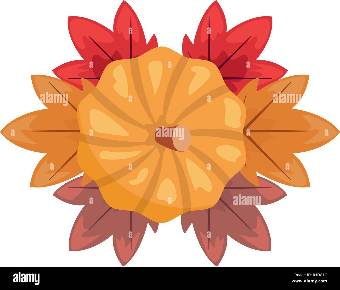 sweet pumpkin leaves decoration background vector illustration Stock ...