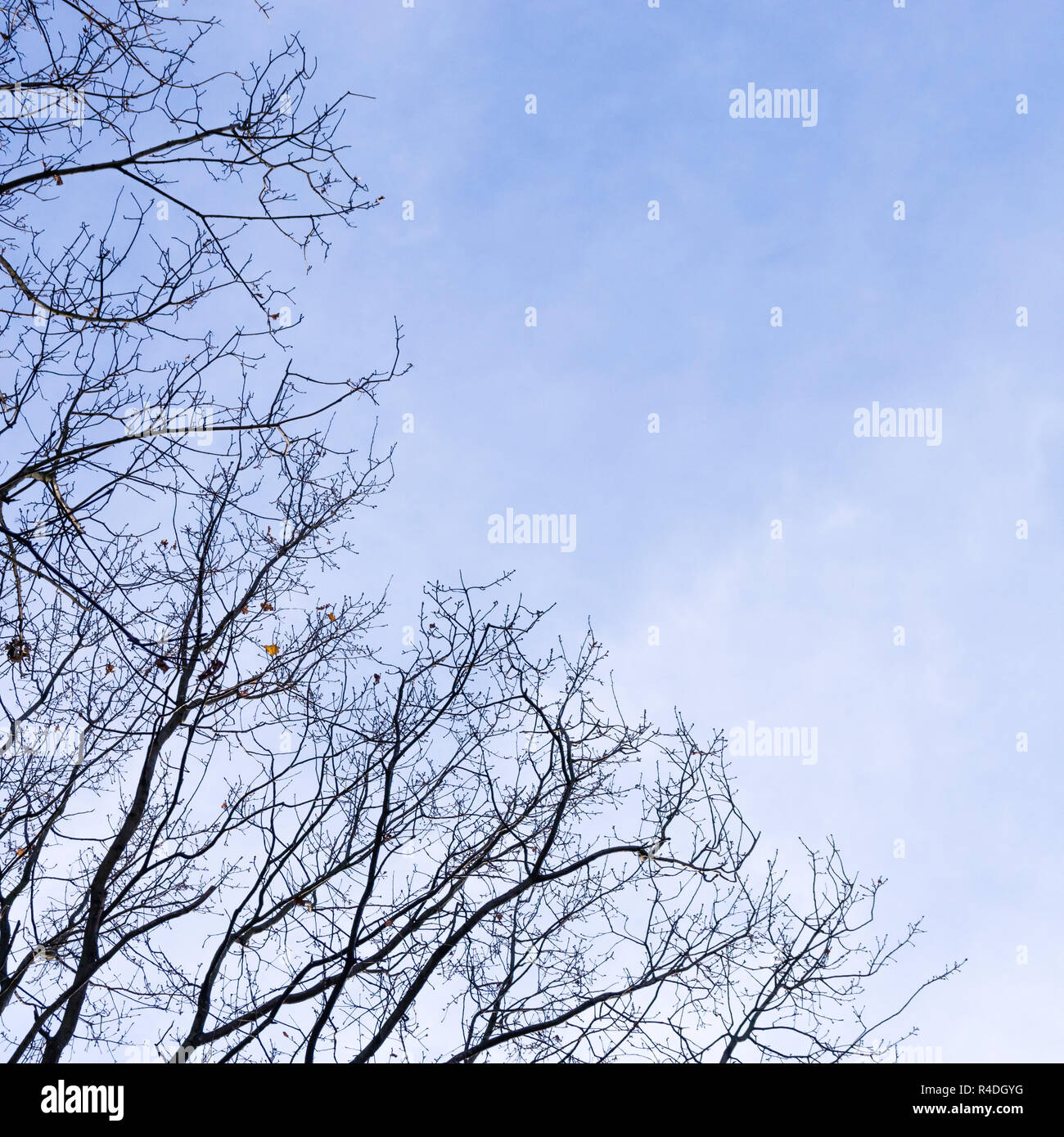 Kahler ast hires stock photography and images Alamy