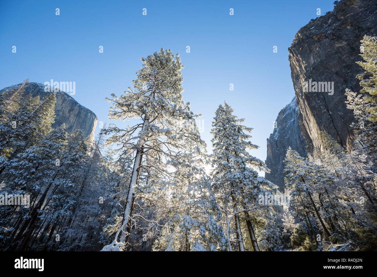 Winter season in Yosemite National Park, California, USA Stock Photo ...