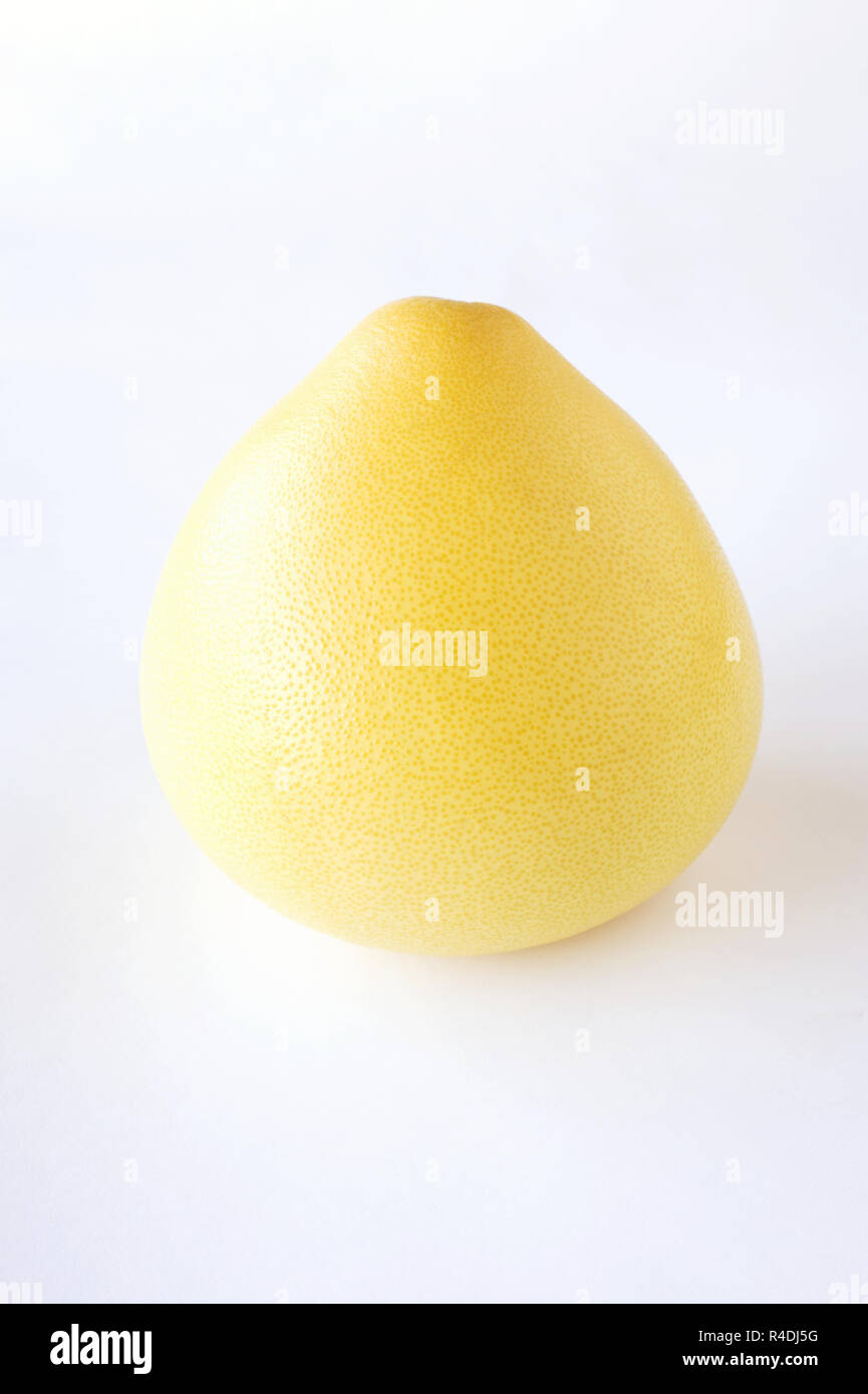 Citrus maxima. Pomelo fruit on a white background. Stock Photo