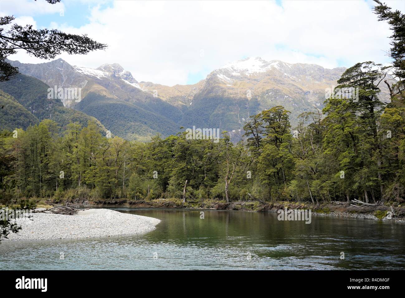 Lake surrounded by trees, mountains in the background. Milford Track, New Zealand South Island Stock Photo