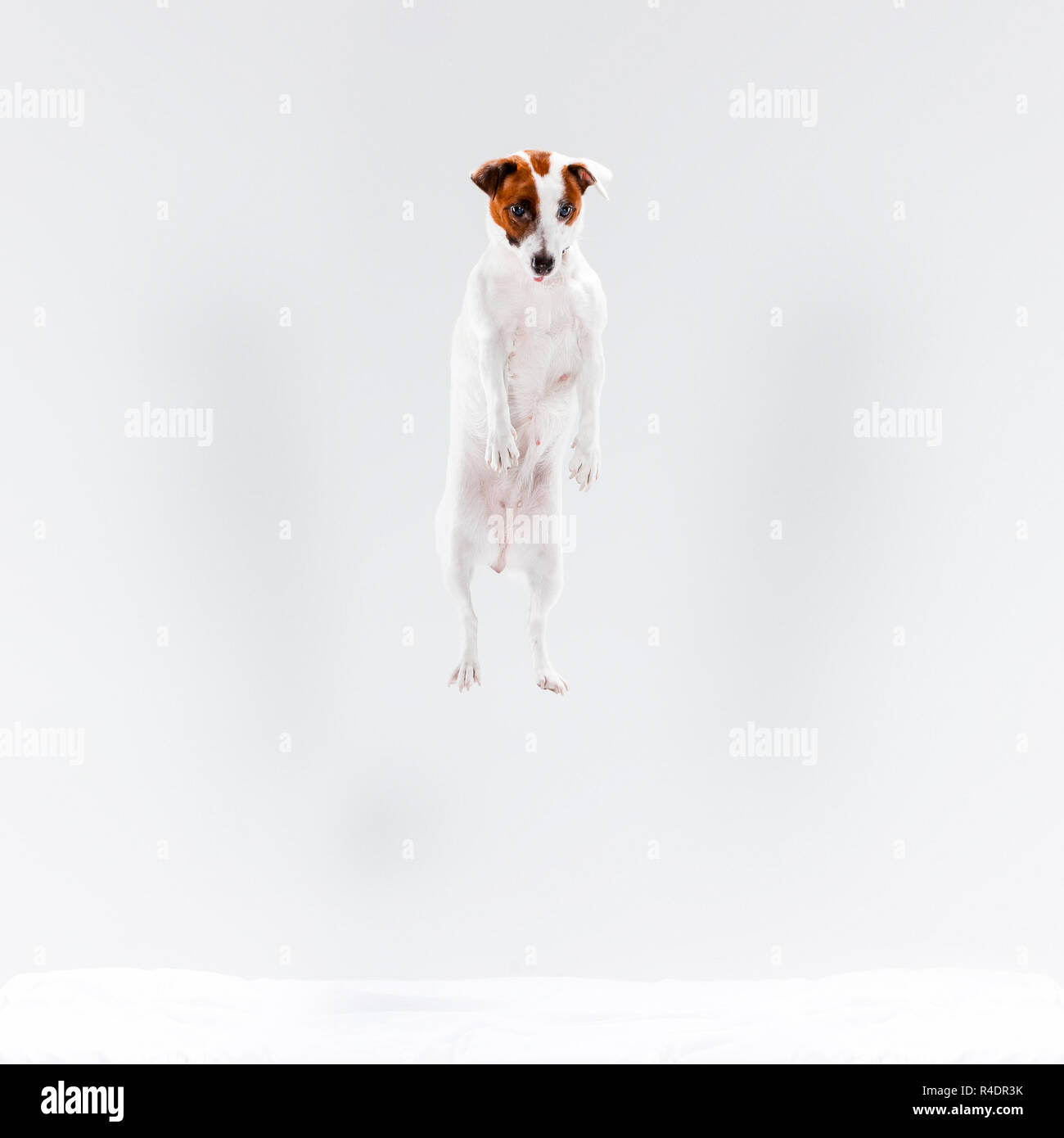 Jumping jack pose hi-res stock photography and images - Alamy