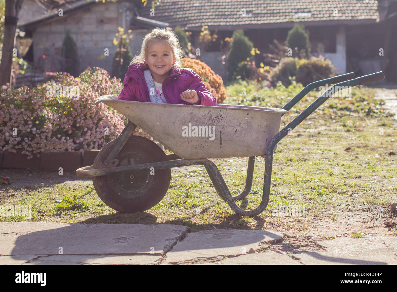 Happy little girl sitting in wheelbarrow Stock Photo - Alamy