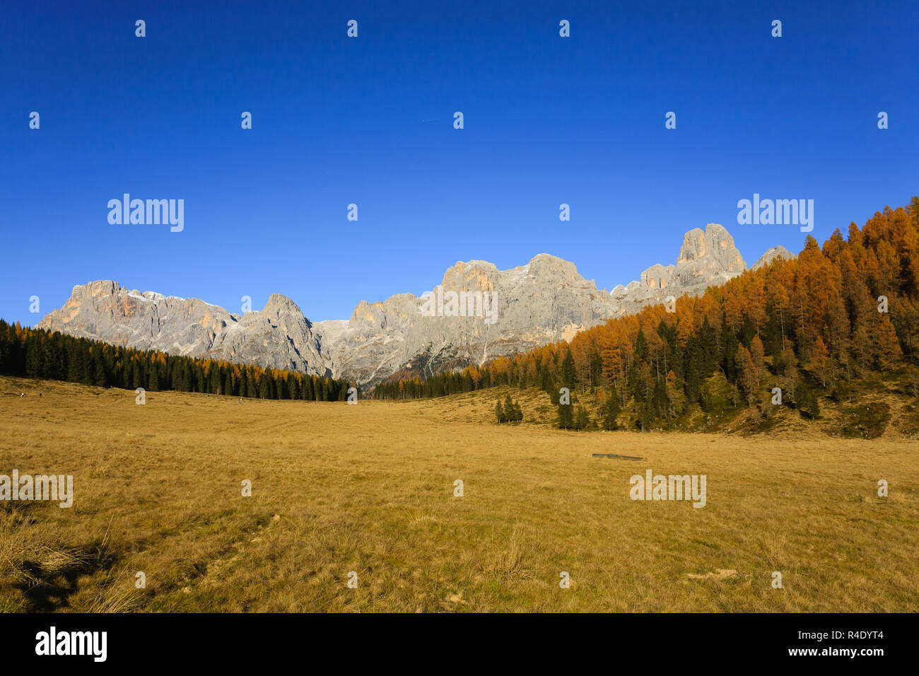 Autumn panorama from Italian Alps Stock Photo