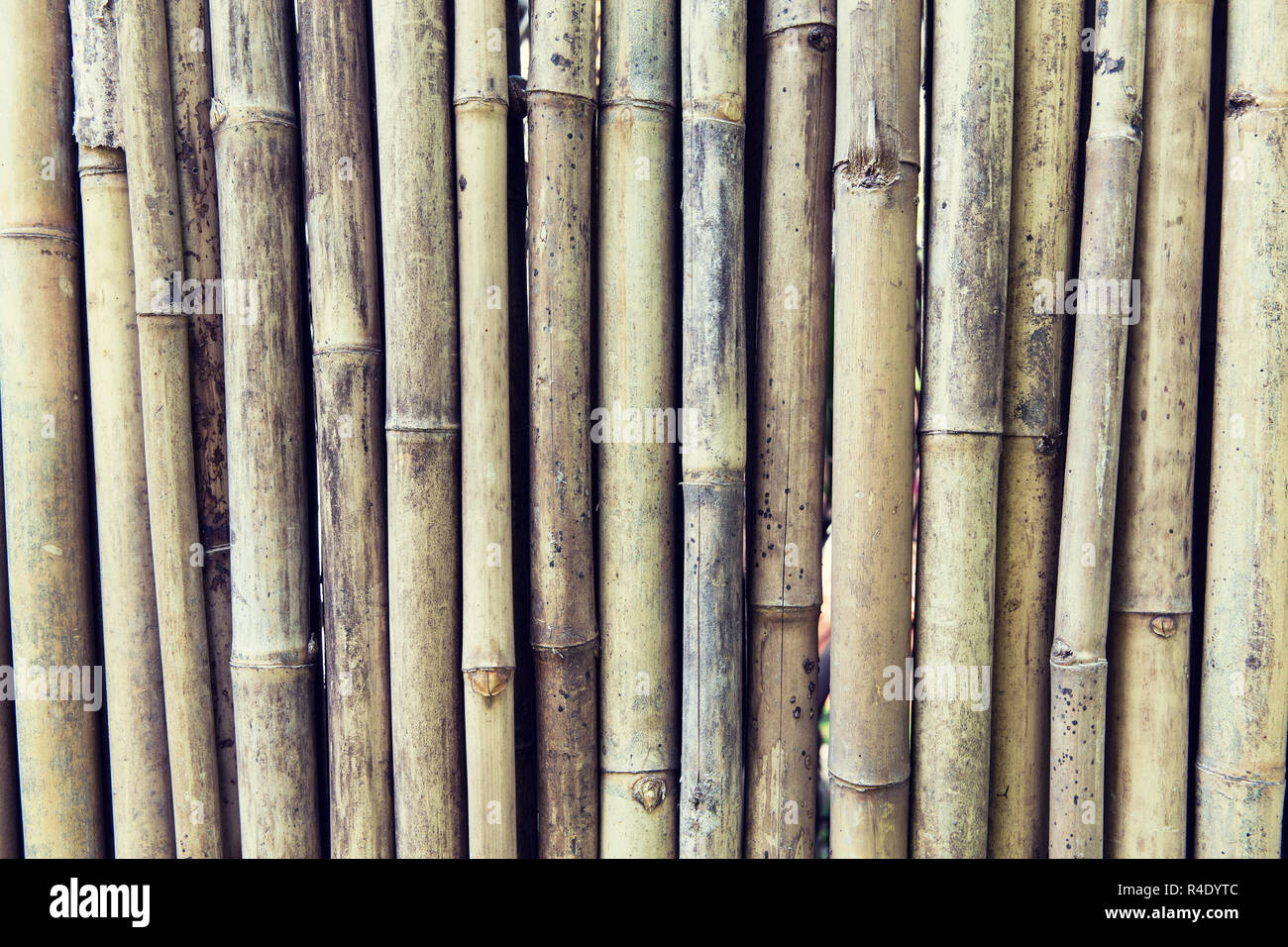 bamboo cane wall texture Stock Photo Alamy