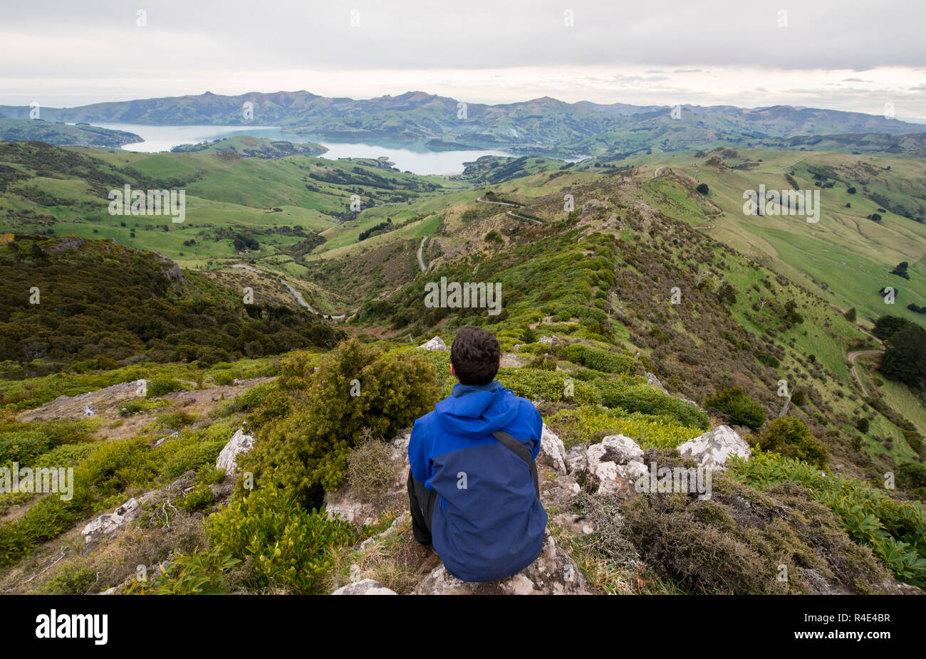 Looking at a view in New Zealand Stock Photo