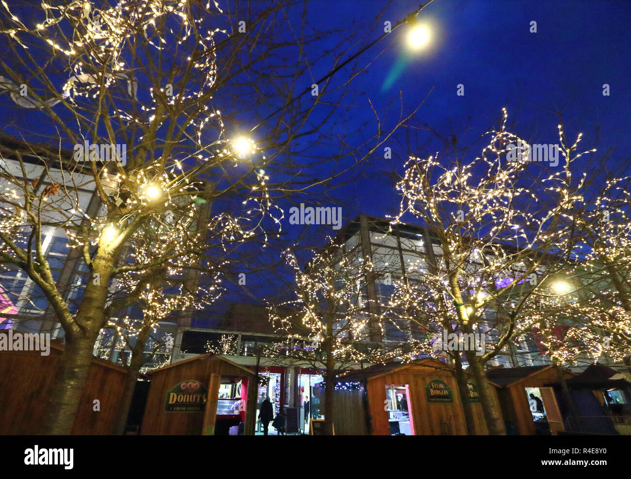 christmas lights shopping