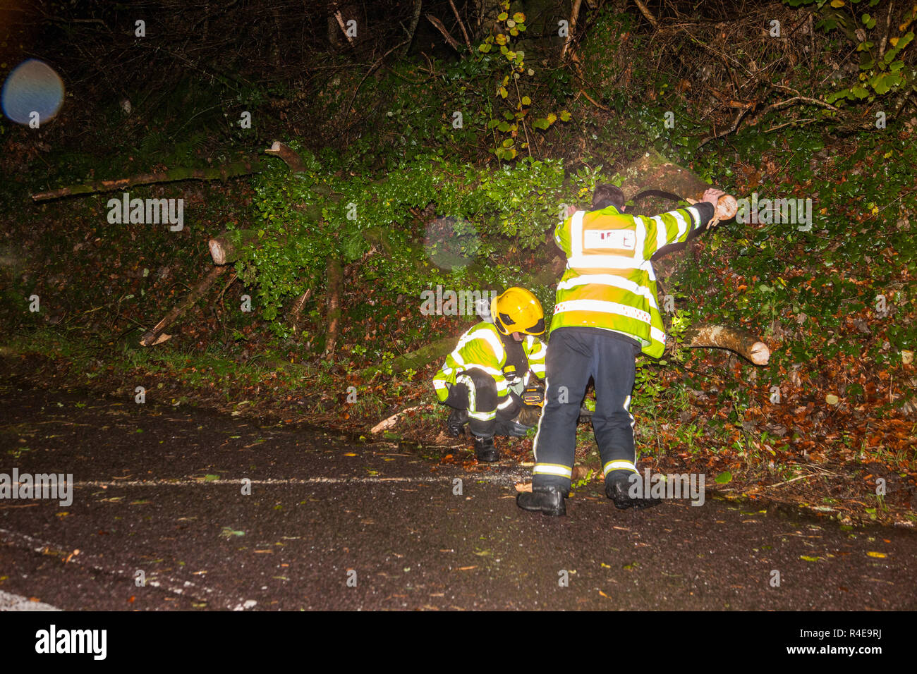 Crosshaven, Cork, Ireland. 27th Nov 2018. Fire service personel work to open the road after a tree fell and blocked the road after heavy rain and high winds at Drakes Pool outside Crosshaven, Co. Cork. Credit: David Creedon/Alamy Live News Stock Photo