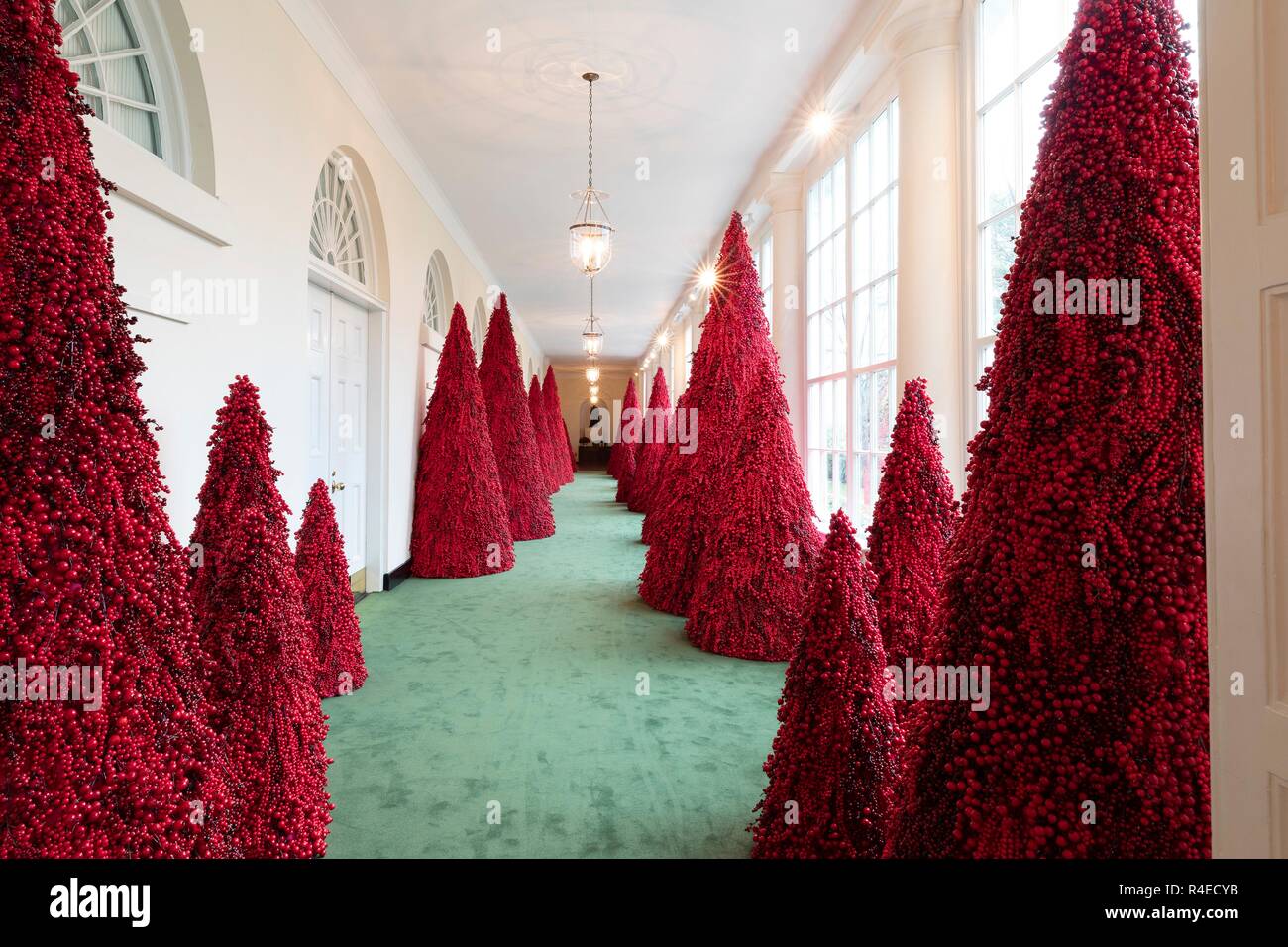 Blood red topiary trees along the East Colonnade part of the 2018 ...