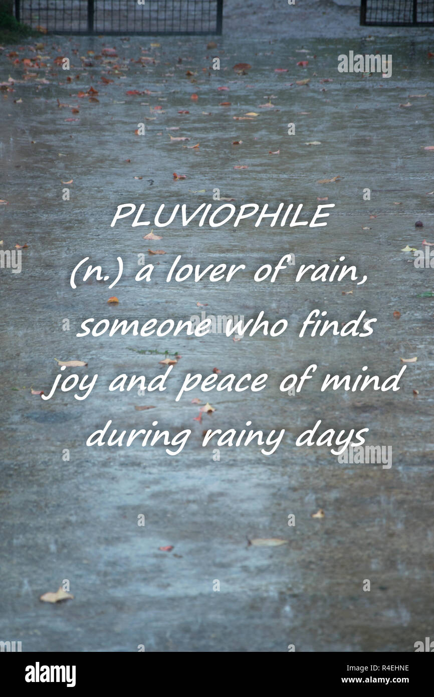 Rainy weather background with text "PLUVIOPHILE a lover of rain