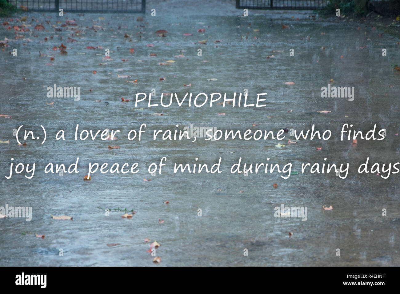 Rainy weather background with text "PLUVIOPHILE a lover of rain
