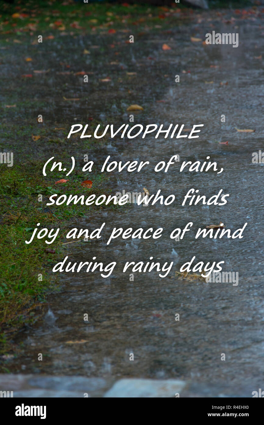 Rainy weather background with text "PLUVIOPHILE a lover of rain