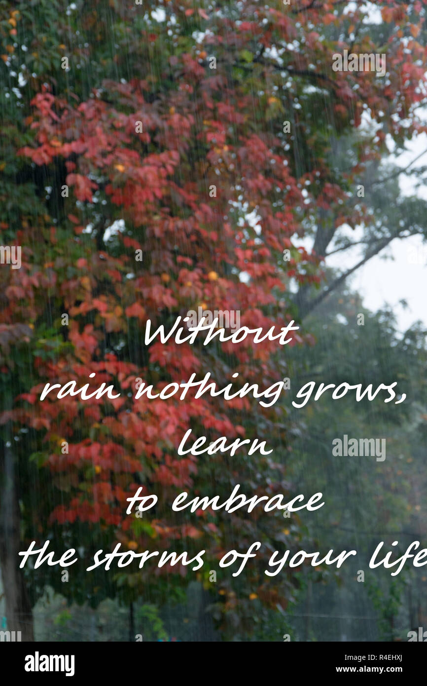 Rainy weather background with text "Without rain nothing grows, learn