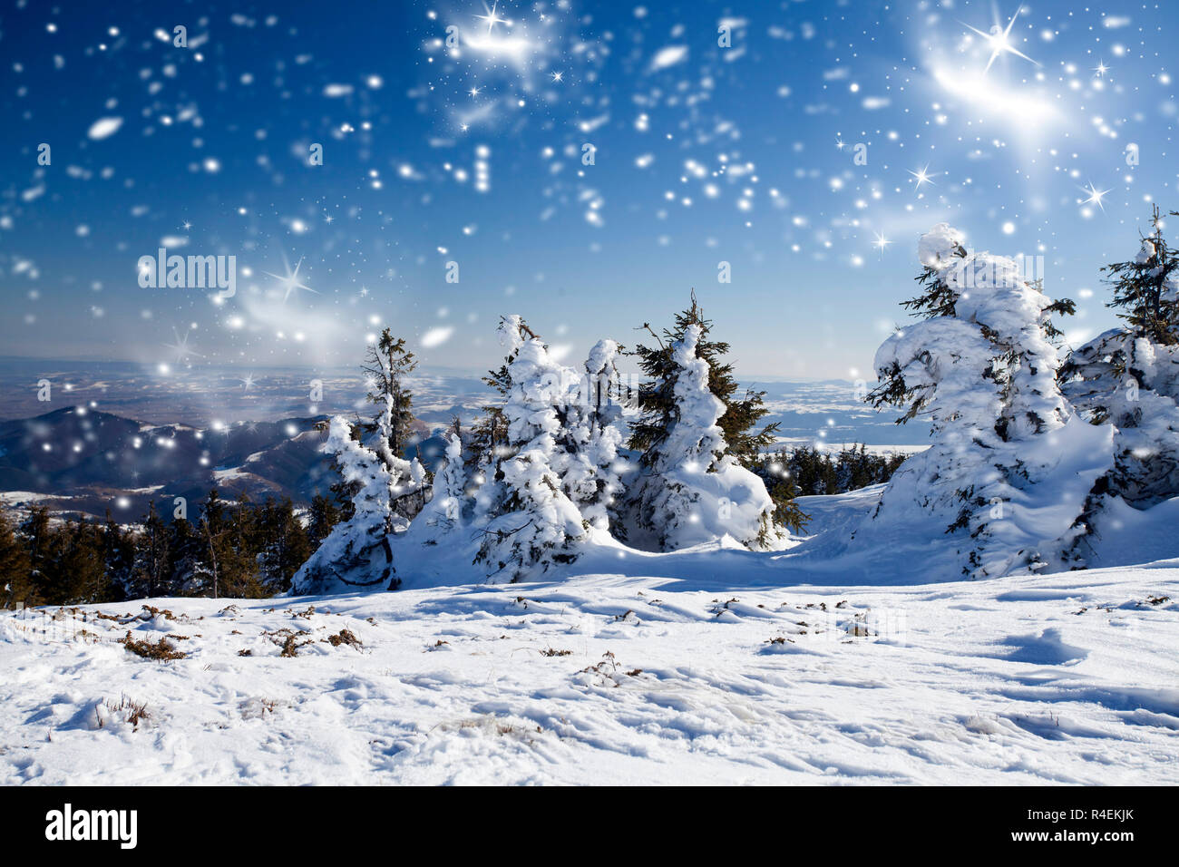 Winter landscape with snowy fir trees Stock Photo - Alamy