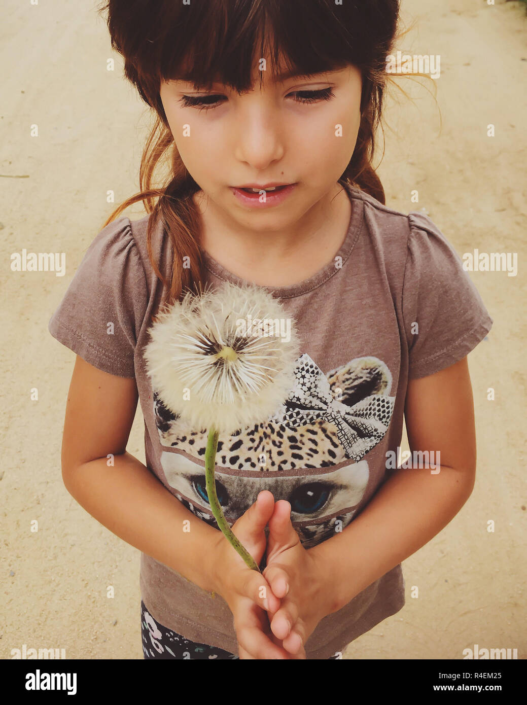 Portrait of a girl holding a dandelion Stock Photo - Alamy