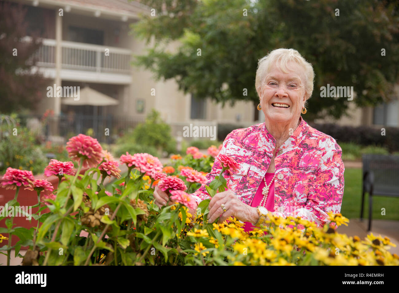 Senior Woman Admiring Flowers In Garden Stock Photo - Alamy