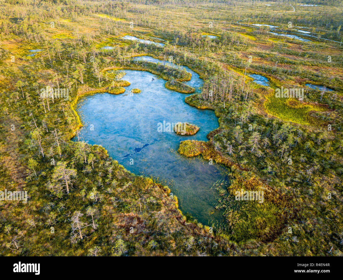 Moody Drone Photo of Colorful Moorland in Early Summer Sunrise with Small Ponds in it Stock Photo