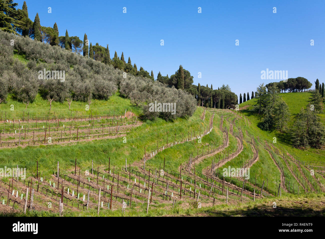 Wine spinning hi-res stock photography and images - Alamy