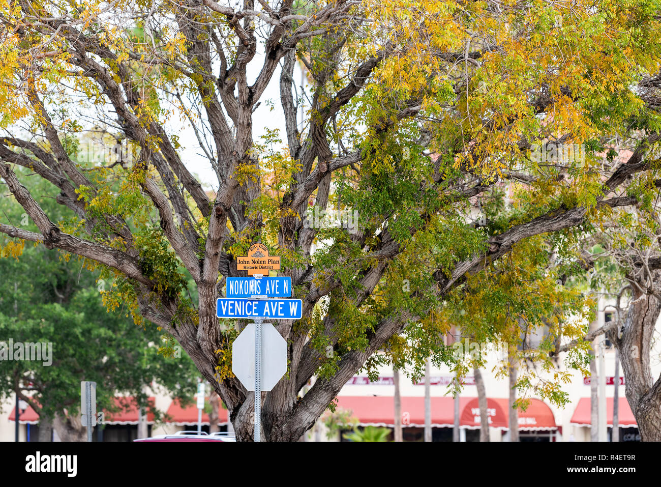 Venice, USA - April 29, 2018: Intersection sign in small Florida retirement city, town, or village in gulf of Mexico, large tree on street Stock Photo
