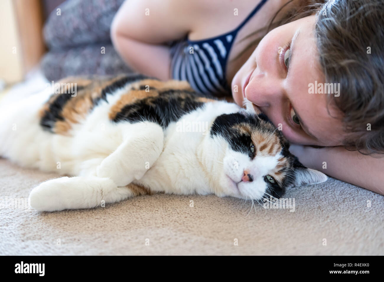 Closeup of calico cat lying on carpet floor together with female, woman, person owner behind, touching head with face, rubbing, petting in home, house Stock Photo