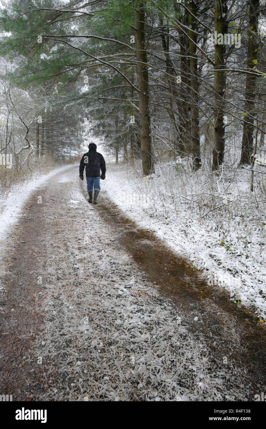 One man walking alone down a snowy road path through the woods with his back to the camera Stock Photo