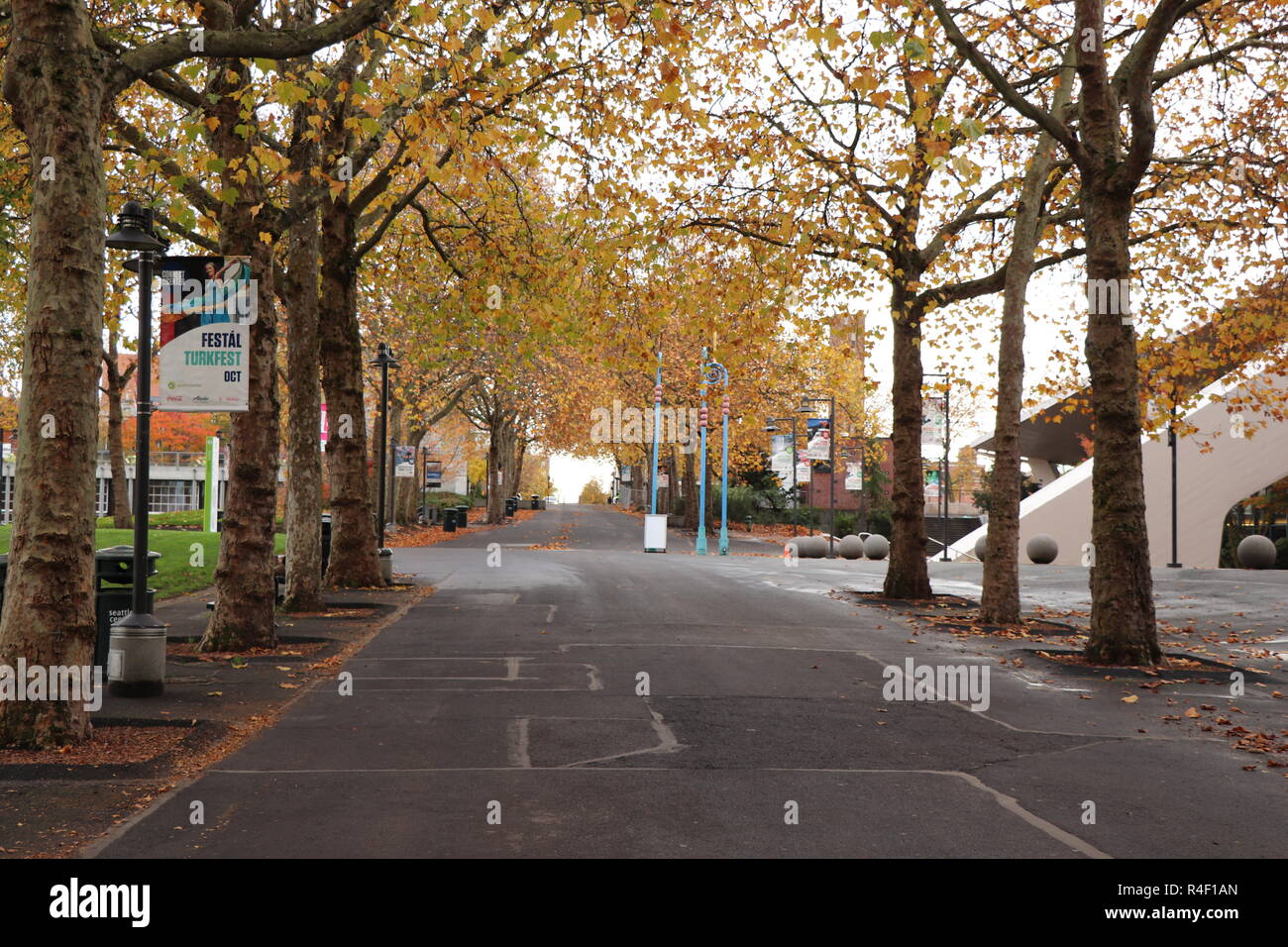 Fall in Seattle Stock Photo - Alamy