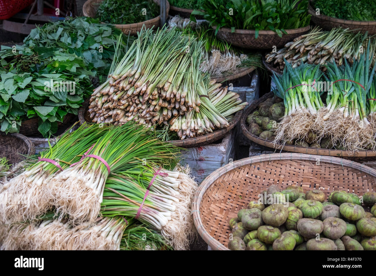 Assorted Spring onions and scallion on display at Dong Ba Market in Hue, Vietnam Stock Photo